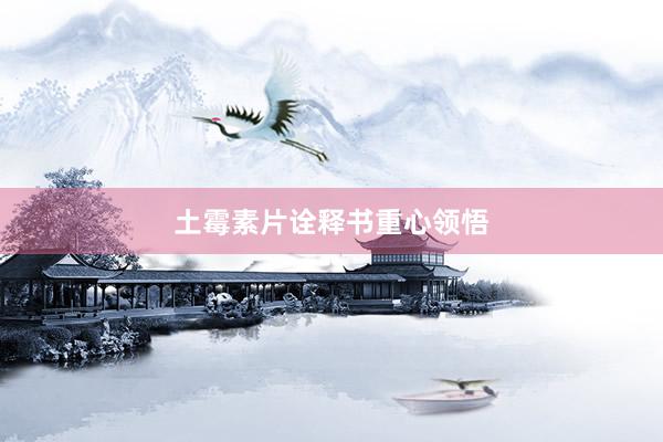 土霉素片诠释书重心领悟